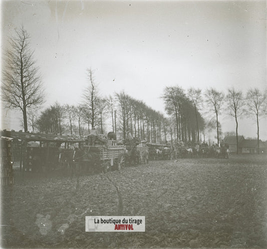 Ravitaillement hippomobile, WW1, plaque verre photo ancienne stéréo 6x13 cm