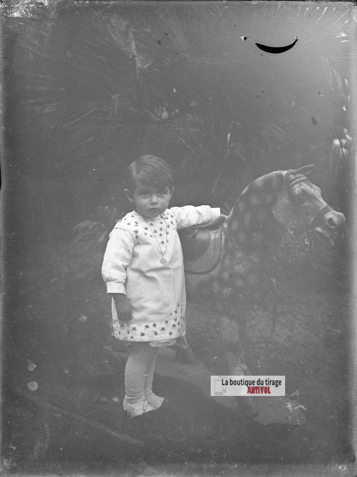 Jeune enfant avec cheval à bascule, plaque verre photo ancienne, négatif 9x12 cm