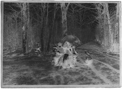 Bailly, Luchon, campagne, photos plaque de verre, lot de 10 négatifs 6x9 cm