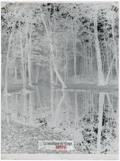 Bois de Boulogne, Paris, plaque verre, photo ancienne, négatif 9x12 cm