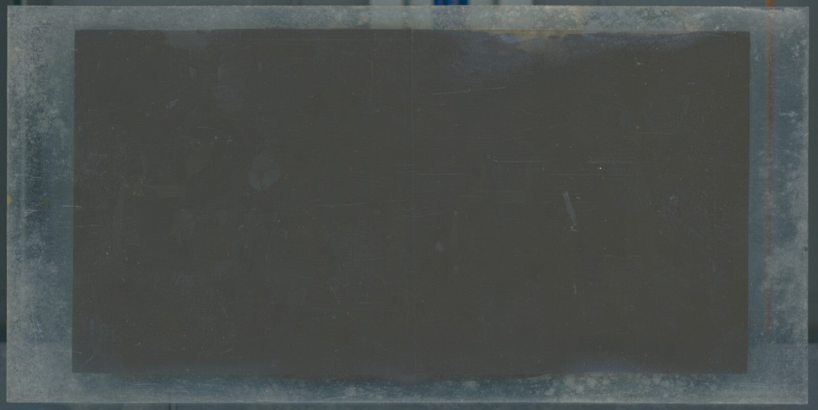 Scène de vie, Longchamp, Paris, plaque verre stéréoscopique, positif 8,5x17 cm