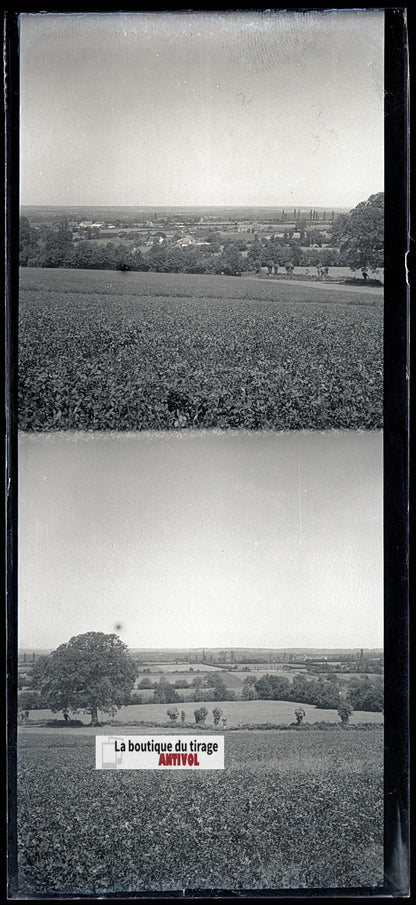 Champs, paysage France, plaque verre, photo ancienne, négatif N&B 6x13 cm