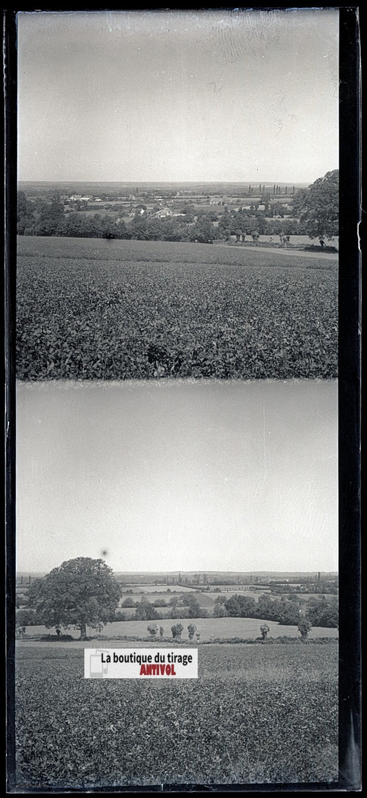 Champs, paysage France, plaque verre, photo ancienne, négatif N&B 6x13 cm