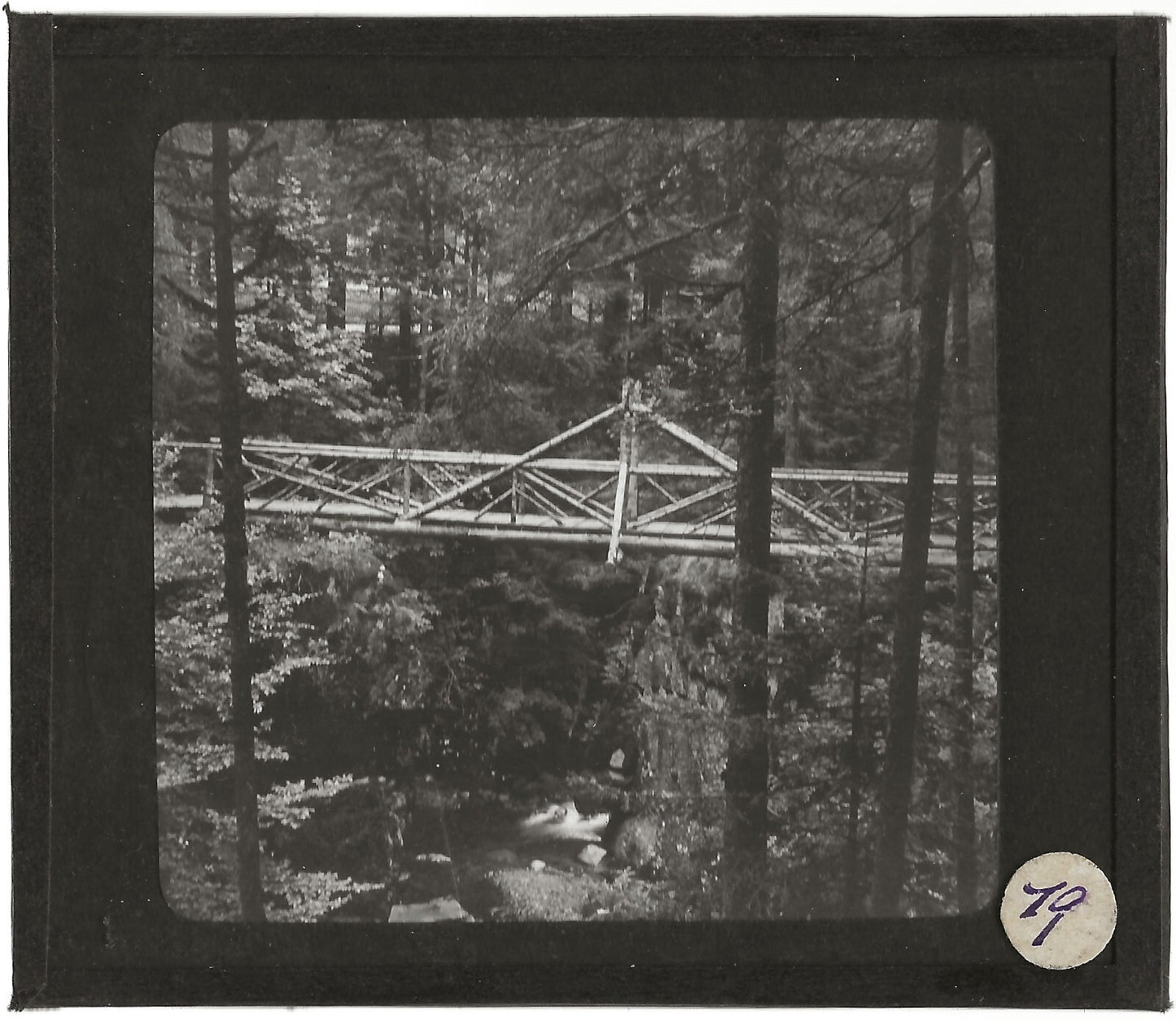 Saut des Cuves, pont en bois, photo ancienne plaque de verre, positif 8,5x10 cm