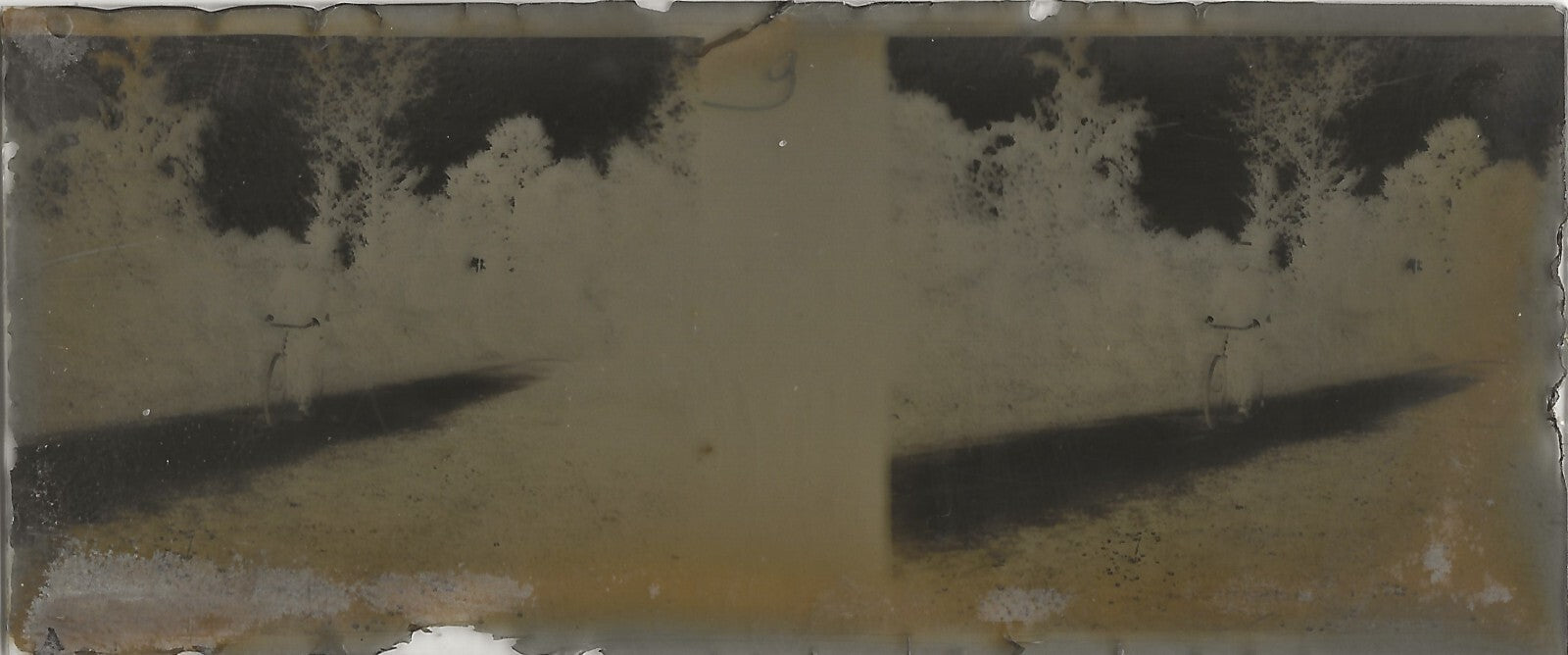 Vélo, route, Plaque verre photo stéréoscopique, négatif noir & blanc 4,5x10,7 cm