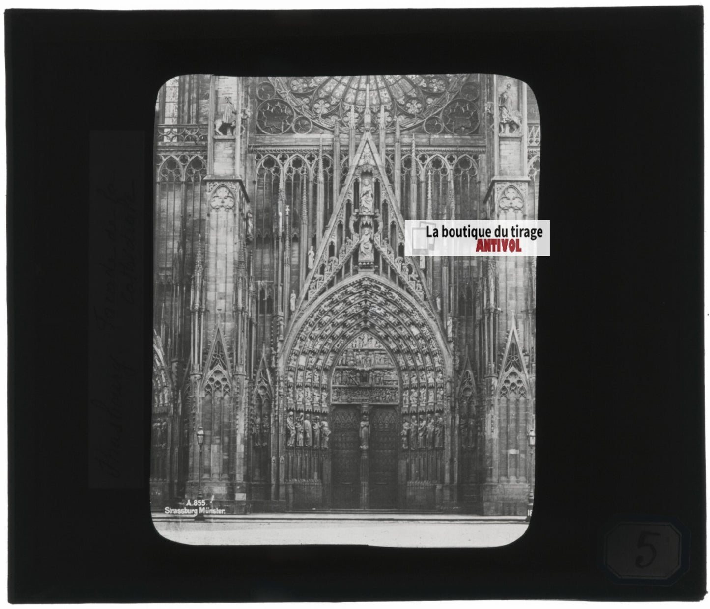 Cathédrale Notre-Dame de Strasbourg, photo plaque verre, positif 8,5x10 cm