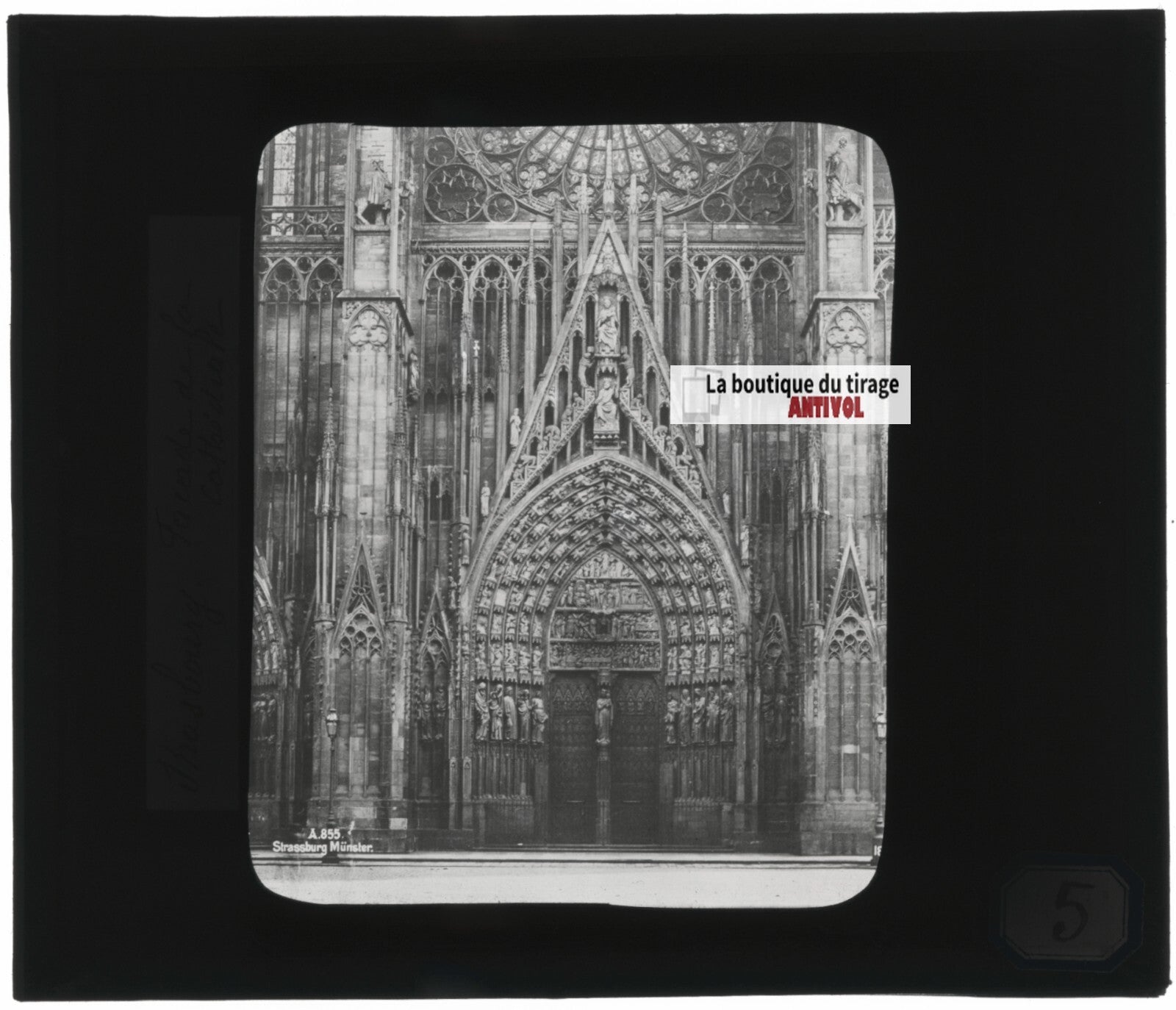 Cathédrale Notre-Dame de Strasbourg, photo plaque verre, positif 8,5x10 cm