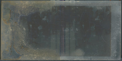 Scène de vie, Longchamp, Paris, plaque verre stéréoscopique, positif 8,5x17 cm