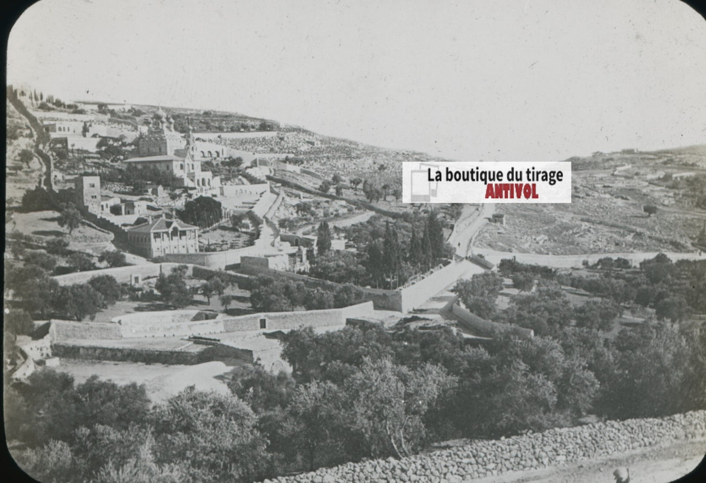 Gethsémani, Jérusalem, photo plaque verre, noir & blanc, positif 8,5x10 cm