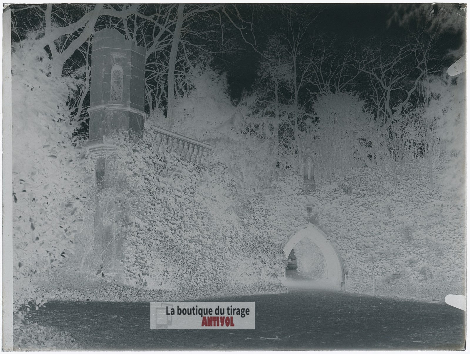 Bagatelle, Bois de Boulogne Paris, plaque verre, photo ancienne, négatif 9x12 cm