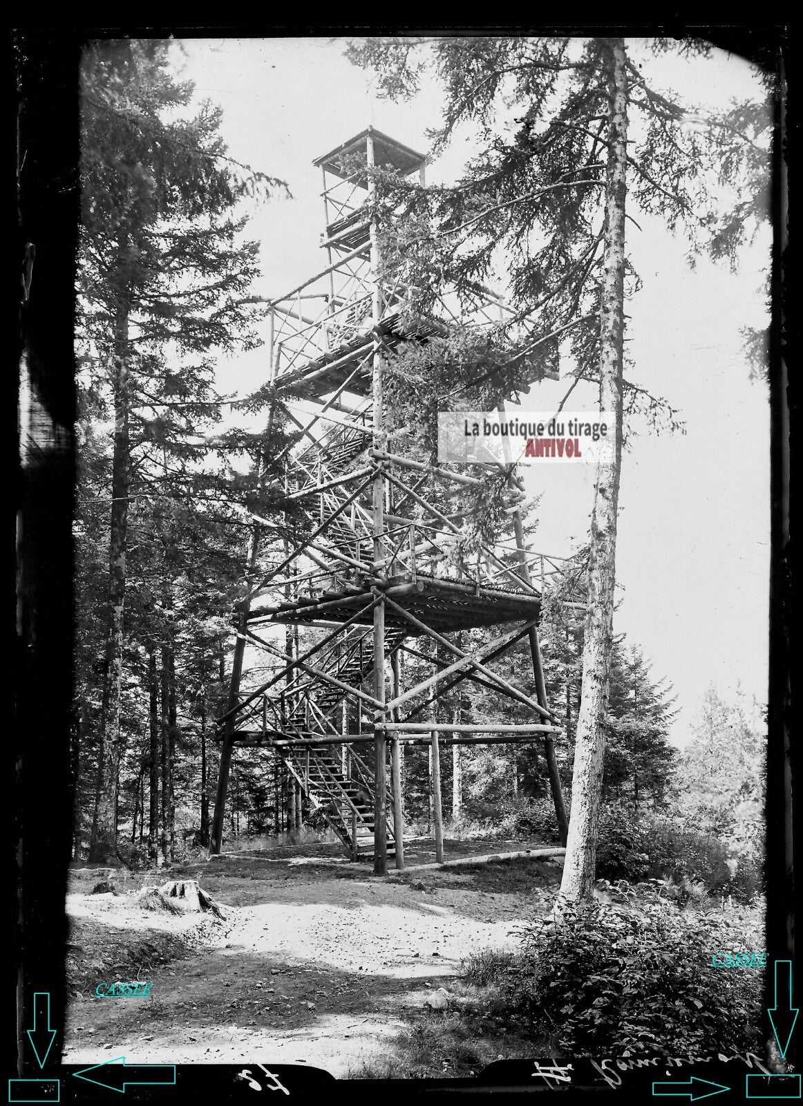Plaque verre photo ancienne négatif noir et blanc 13x18 cm Remiremont forêt