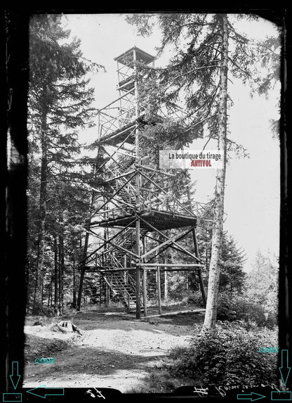 Plaque verre photo ancienne négatif noir et blanc 13x18 cm Remiremont forêt