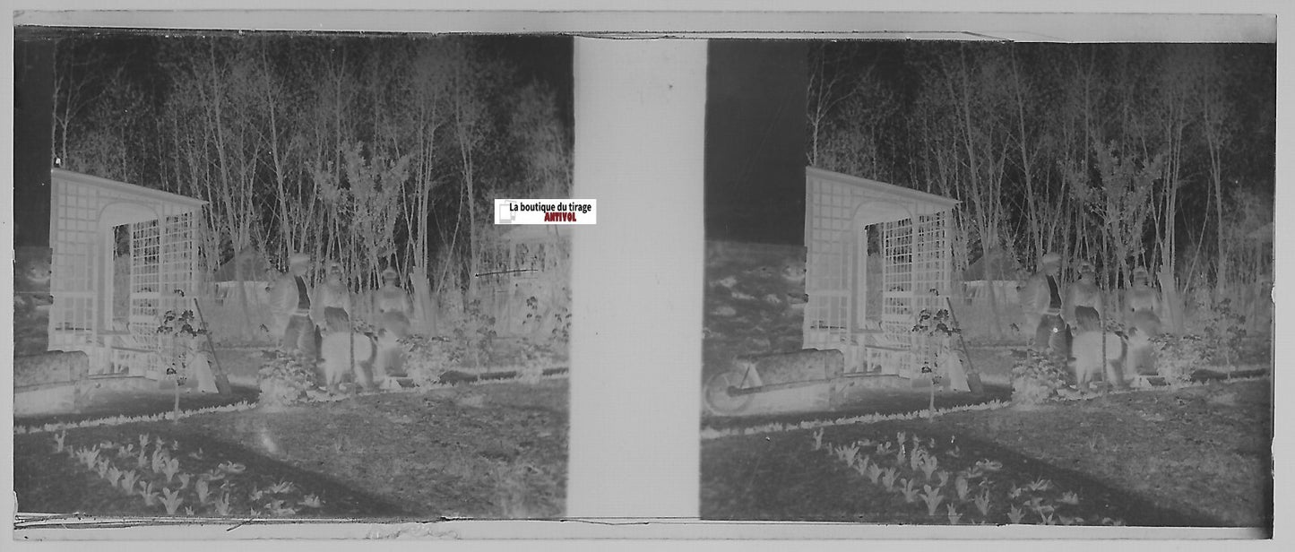 Potager, Plaque verre photo stéréoscopique, négatif noir & blanc 4,5x10,7 cm