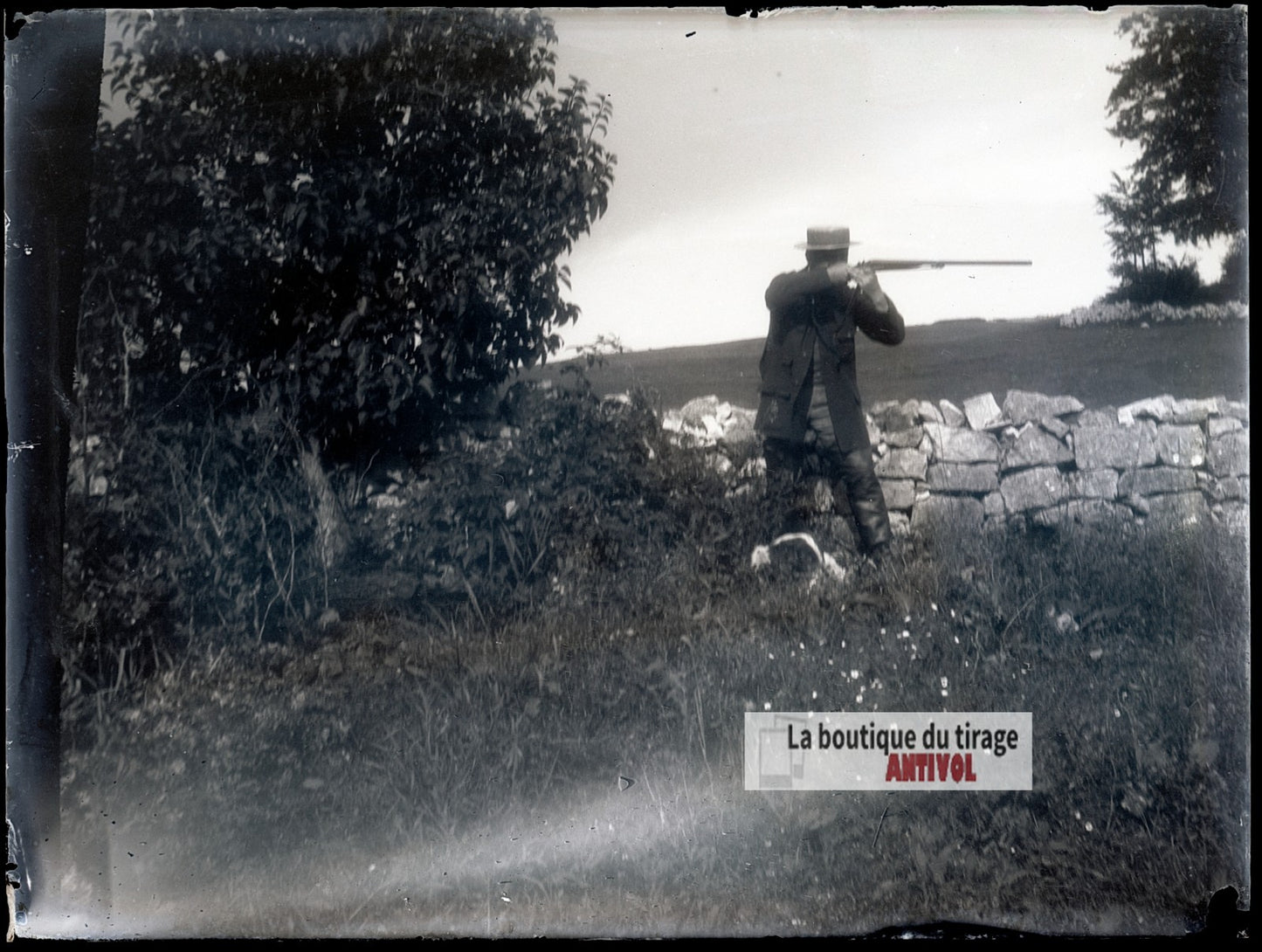 Chasseur au fusil et chien, plaque verre photo ancienne, négatif 9x12 cm