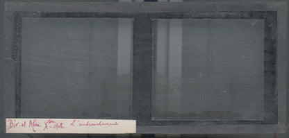 Paysage, Bir el Afou, Tunisie 1908, plaque verre stéréoscopique, positif 7x15 cm