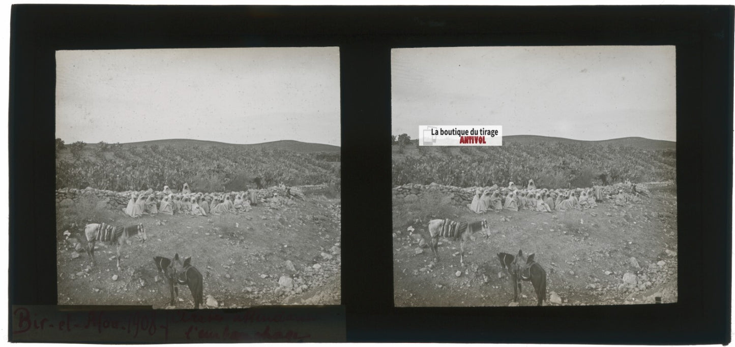 Arabes, Bir el Afou, Tunisie 1908, plaque verre stéréoscopique, positif 7x15 cm