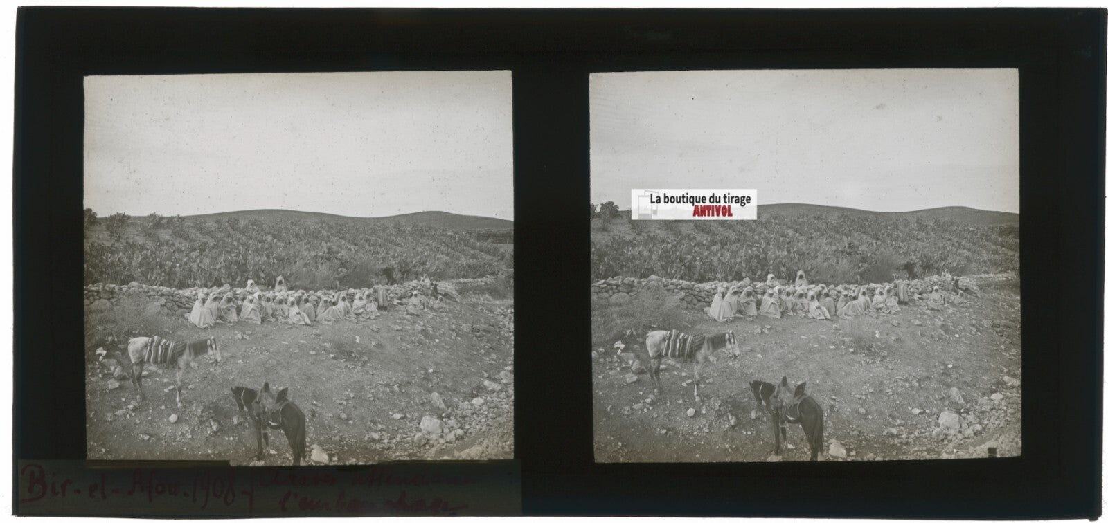 Arabes, Bir el Afou, Tunisie 1908, plaque verre stéréoscopique, positif 7x15 cm