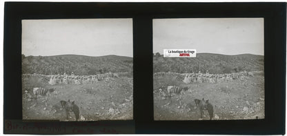 Arabes, Bir el Afou, Tunisie 1908, plaque verre stéréoscopique, positif 7x15 cm