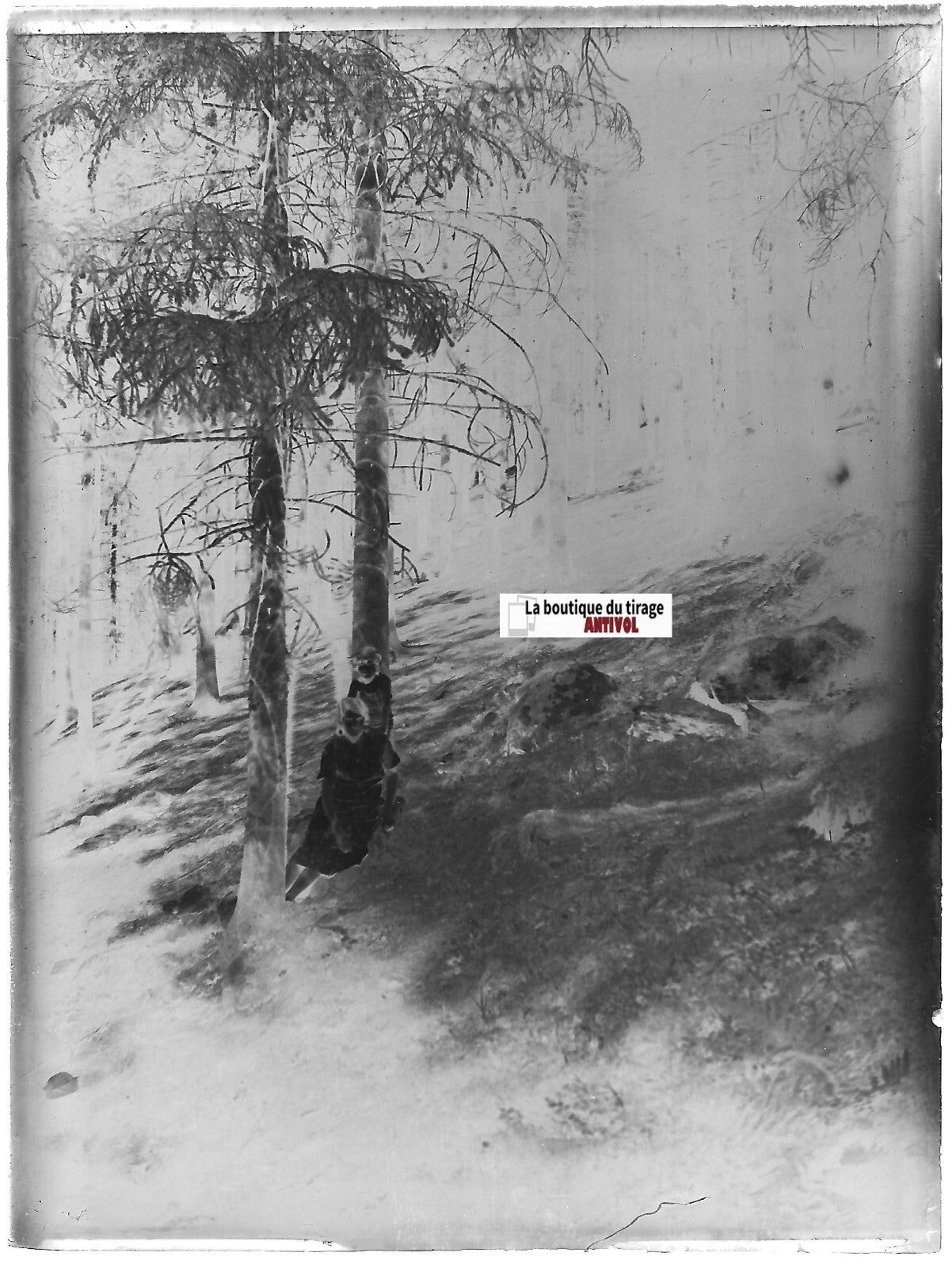 Maman, Fille, nature, Plaque verre photo ancienne, négatif noir & blanc 9x12 cm