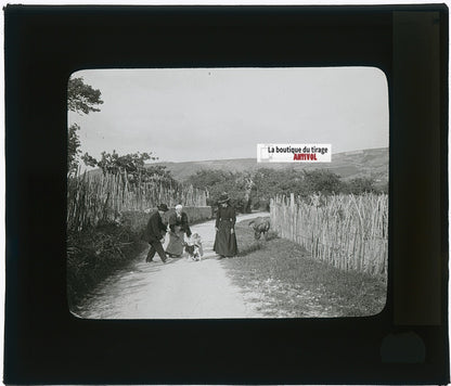 Promenade, personnages, photo plaque verre, noir & blanc, positif 8,5x10 cm