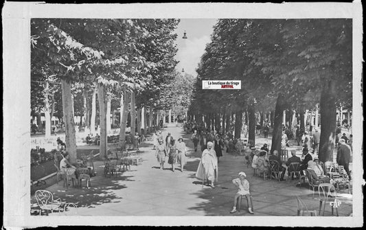 Vichy, parc et jardin, Plaque verre photo, négatif noir & blanc 10x15 cm France