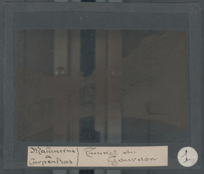 Tunnel du Gourdon, Vaucluse, photo plaque verre, sépia, positif 8,5x10 cm