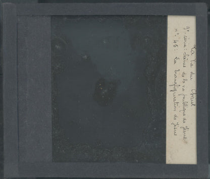 La Transfiguration de Jésus, photo plaque verre, noir & blanc, positif 8,5x10 cm