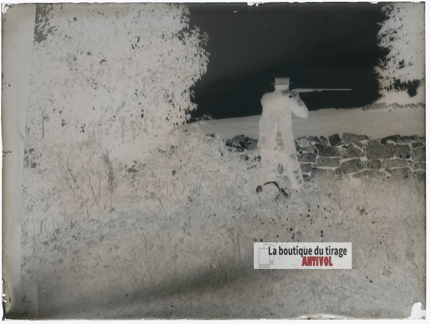 Chasseur au fusil et chien, plaque verre photo ancienne, négatif 9x12 cm
