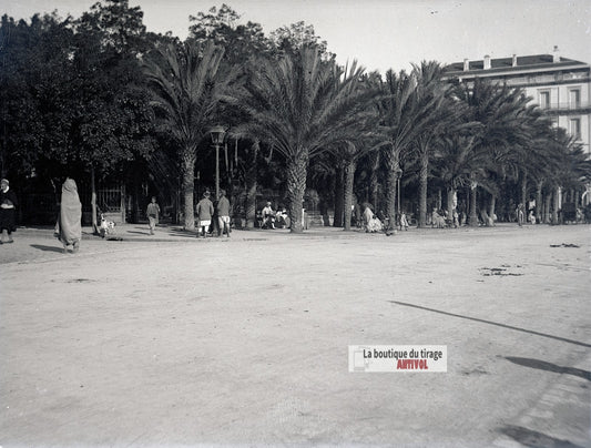 Algérie, Alger, centre-ville, plaque verre photo ancienne, négatif 9x12 cm