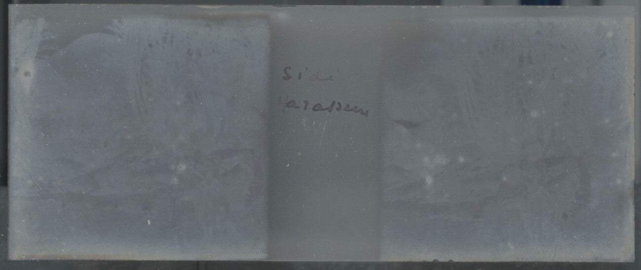 Sidi Harazem, Maroc, Plaque verre stéréo, positif noir & blanc 4,5x10,7 cm