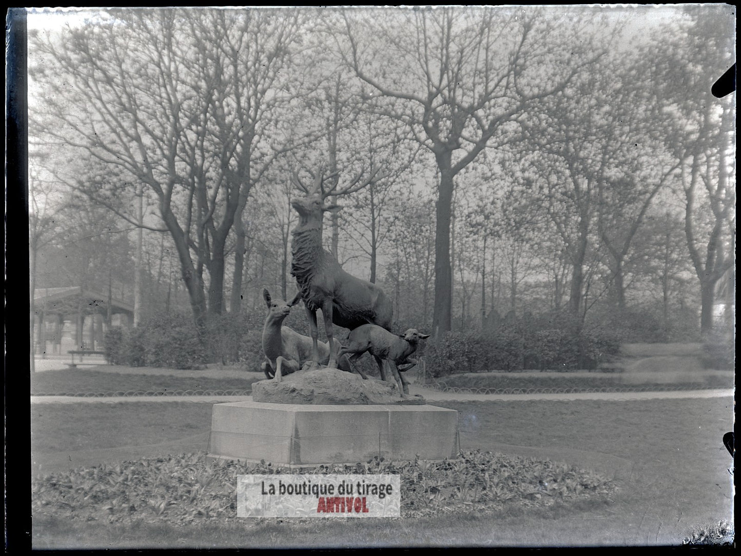 Jardin du Luxembourg, Paris, plaque verre, photo ancienne, négatif 9x12 cm