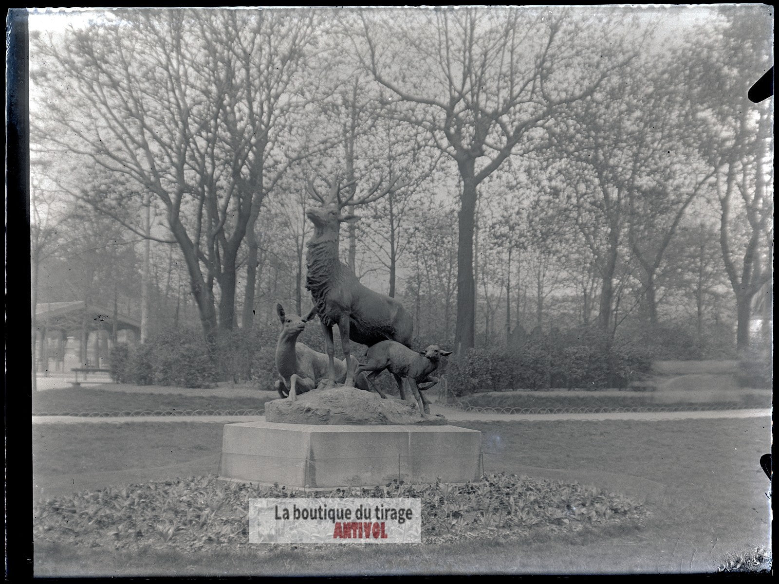 Jardin du Luxembourg, Paris, plaque verre, photo ancienne, négatif 9x12 cm