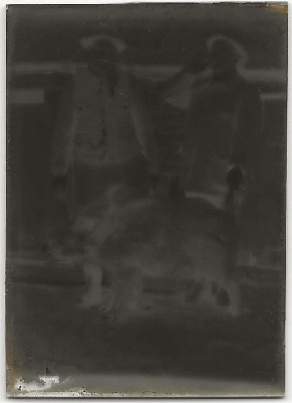 Chasse, sanglier, Plaque verre photo, négatif ancien noir & blanc 6x9 cm
