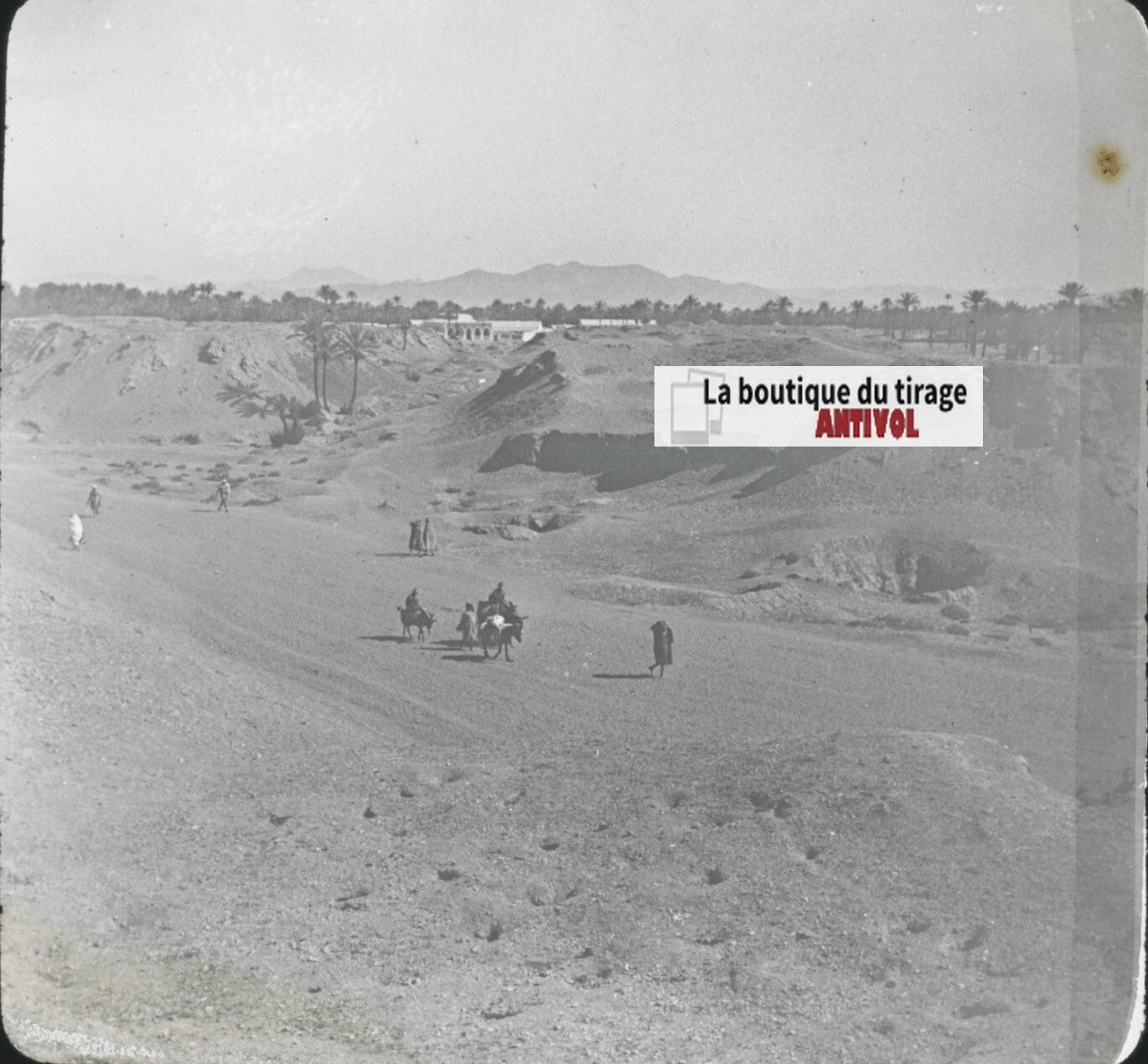 Paysage, désert sable, Maroc, photo ancienne plaque verre, positif 8,5x10 cm