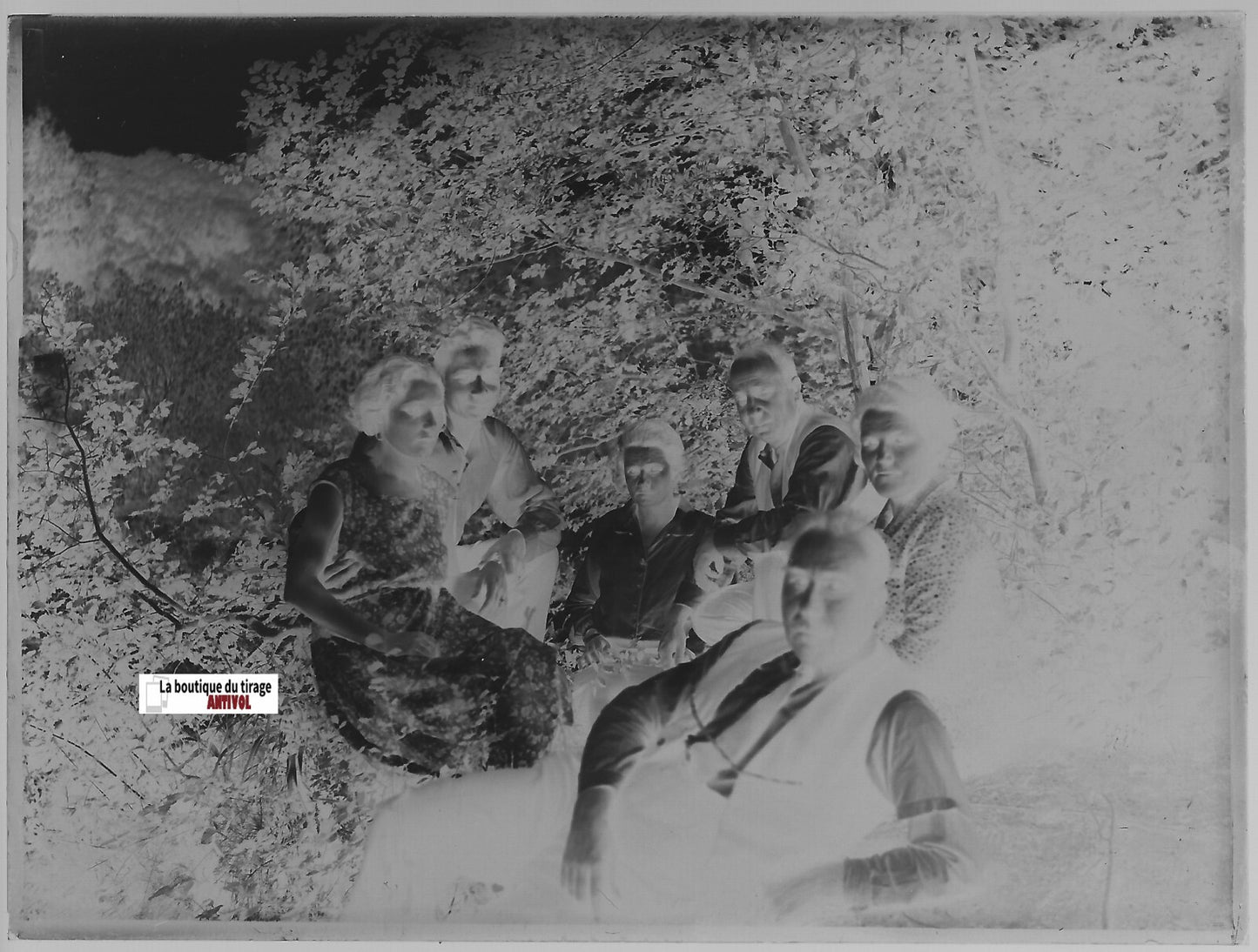Famille, forêt, Plaque verre photo ancienne, négatif noir & blanc 9x12 cm