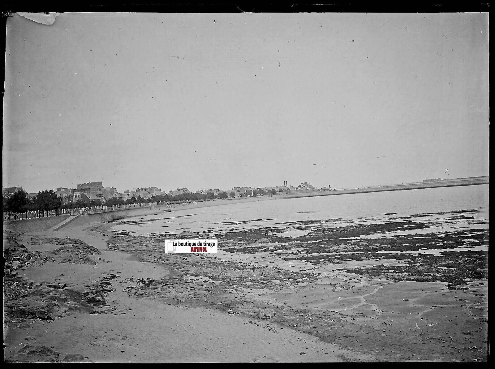 France, paysage mer, Plaque verre photo ancienne, négatif noir & blanc 9x12 cm