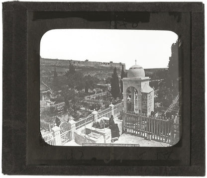 Le jardin de Gethsemane, Jérusalem, photo plaque de verre, positif 8,5x10 cm