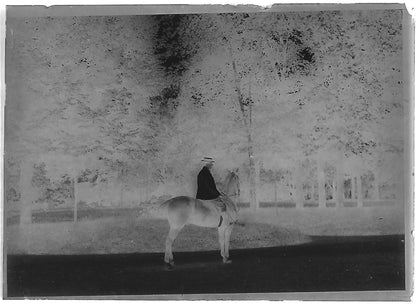 Plaque verre photo négatif noir et blanc 6x9 cm homme cheval vintage France