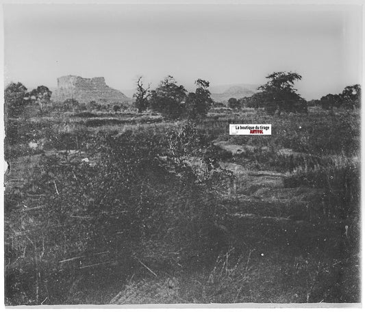 Paysage, Soudan Mali, Plaque verre photo ancienne, positif noir et blanc 8x10 cm