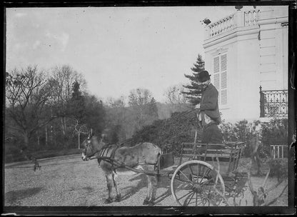 Plaque verre photo négatif noir et blanc 6x9 cm château Bailly âne calèche 