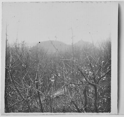 Paysage, campagne, Plaque verre photo stéréo, positif noir & blanc 4,5x10,7 cm