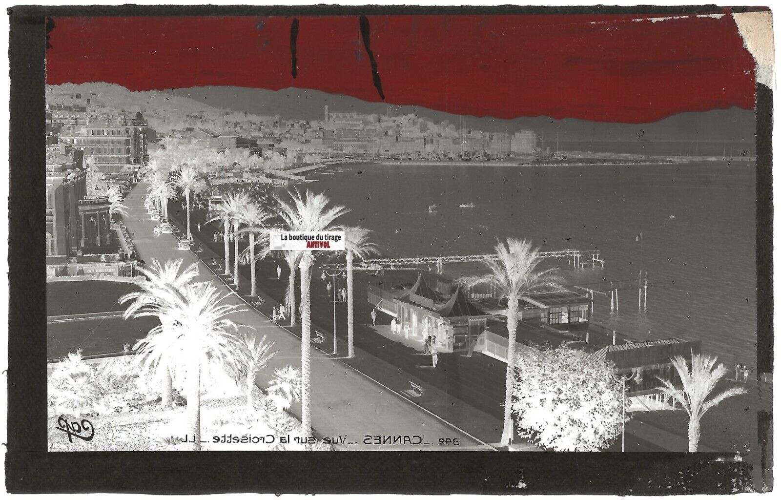 Plaque verre photo ancienne, négatif noir & blanc 9x14 cm, Cannes, La Croisette