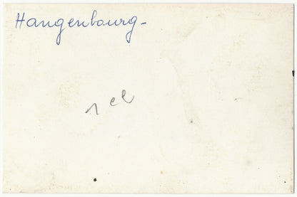 Plaque verre photo ancienne, négatif noir & blanc 9x14 cm, Wangenbourg-Engenthal