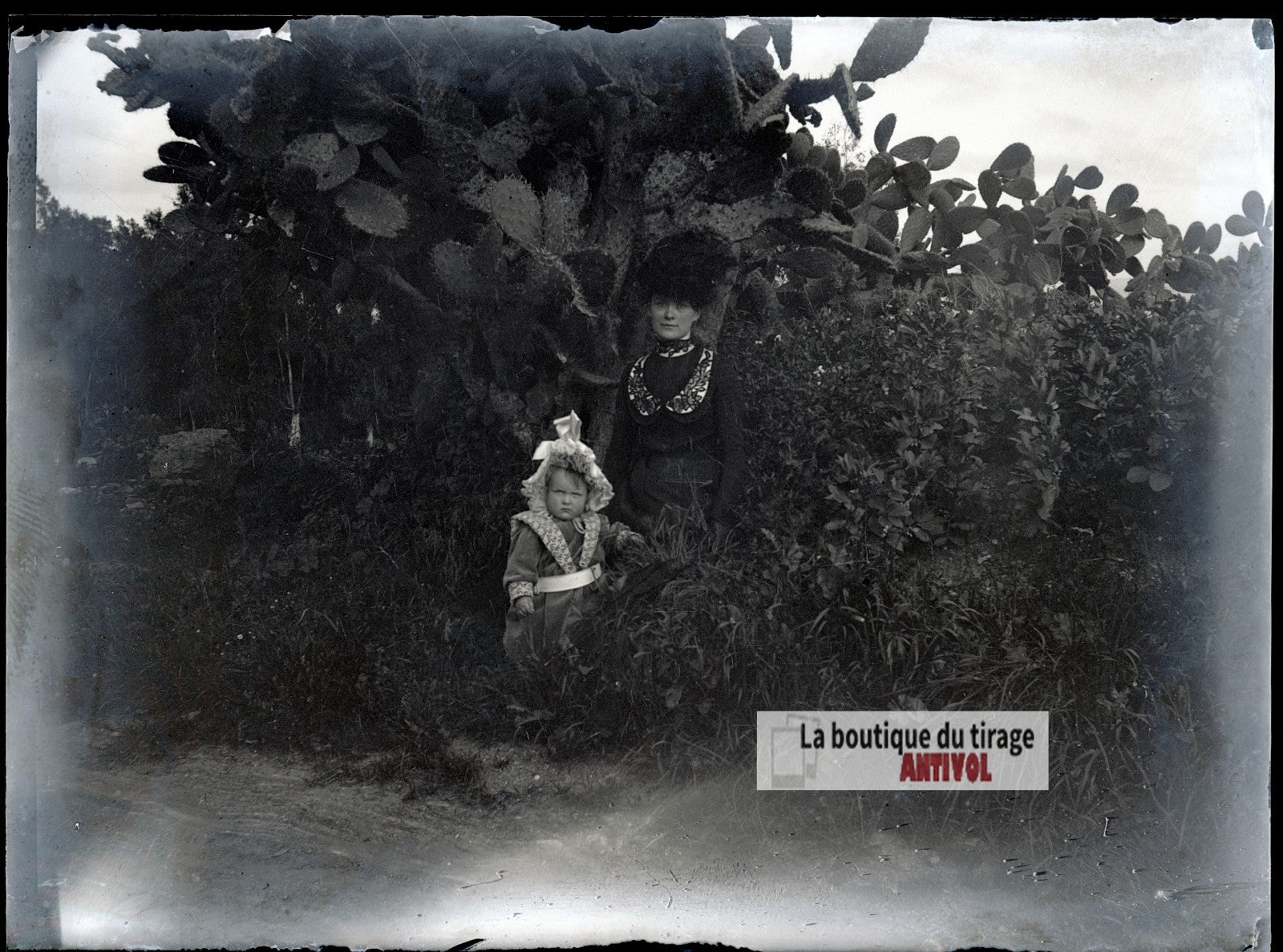 Femme et jeune enfant, figuier, plaque verre photo ancienne, négatif 9x12 cm