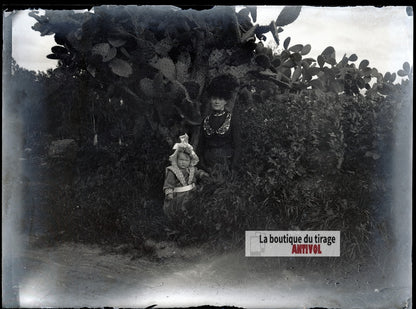 Femme et jeune enfant, figuier, plaque verre photo ancienne, négatif 9x12 cm