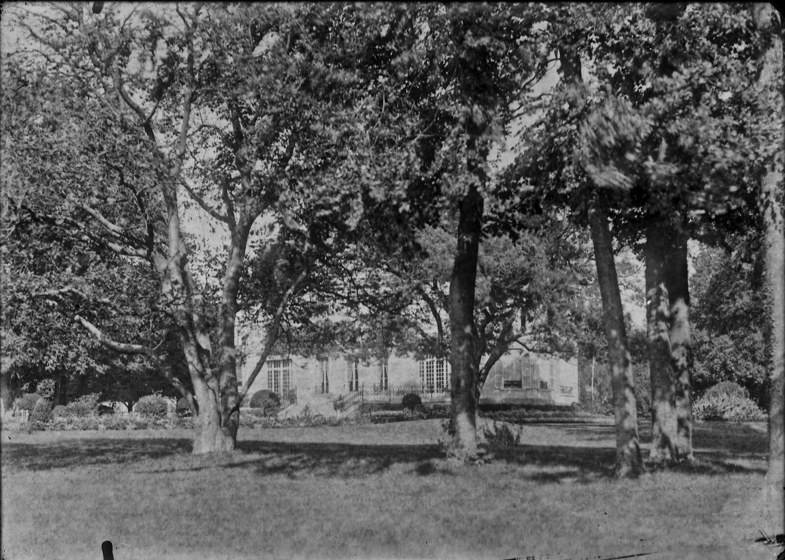 Plaque verre photo ancienne négatif 13x18 cm paysage parc arbres, château France