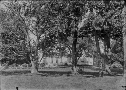 Plaque verre photo ancienne négatif 13x18 cm paysage parc arbres, château France