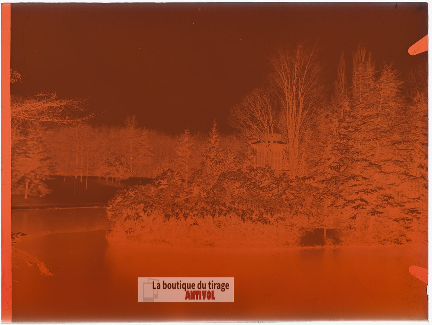 Bois de Boulogne, Paris, plaque verre, photo ancienne, négatif 9x12 cm