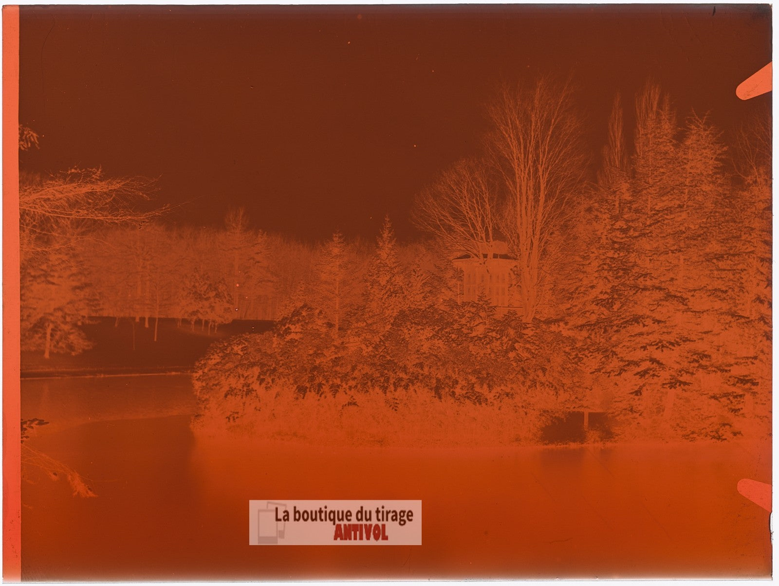 Bois de Boulogne, Paris, plaque verre, photo ancienne, négatif 9x12 cm