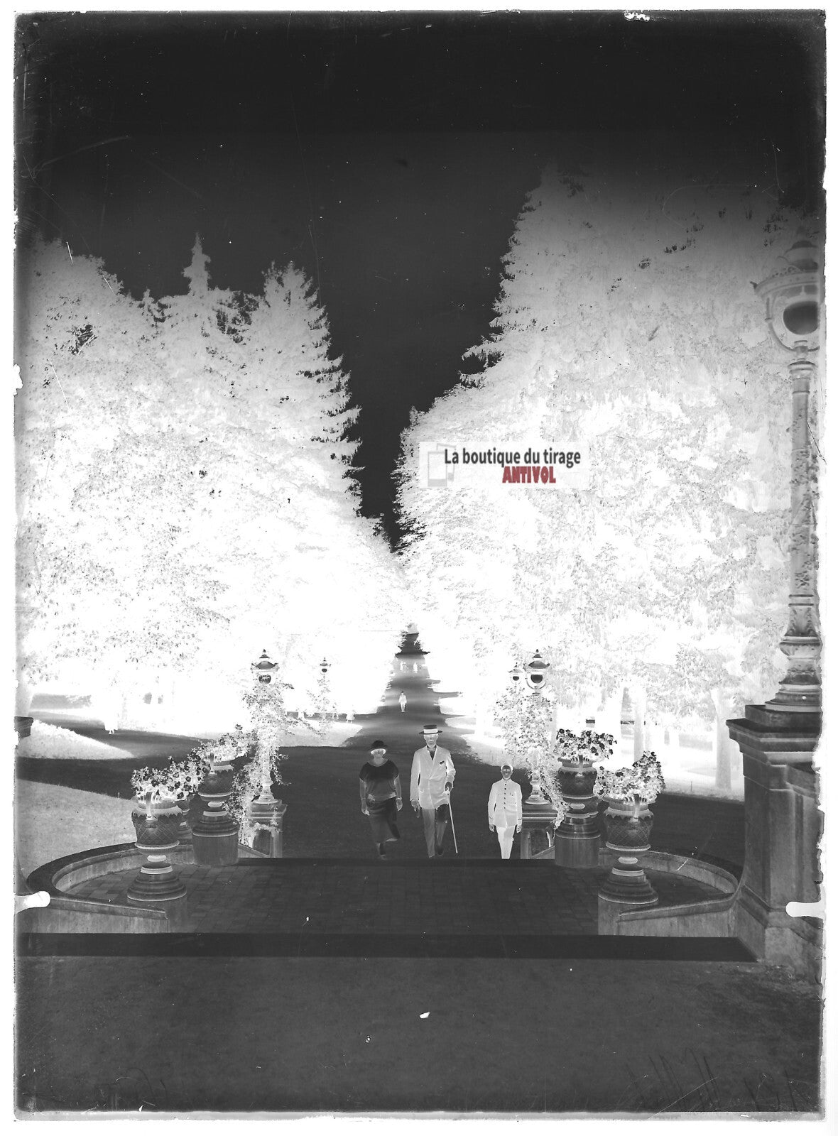 Plaque verre photo ancienne négatif noir et blanc 13x18 cm Vittel parc France